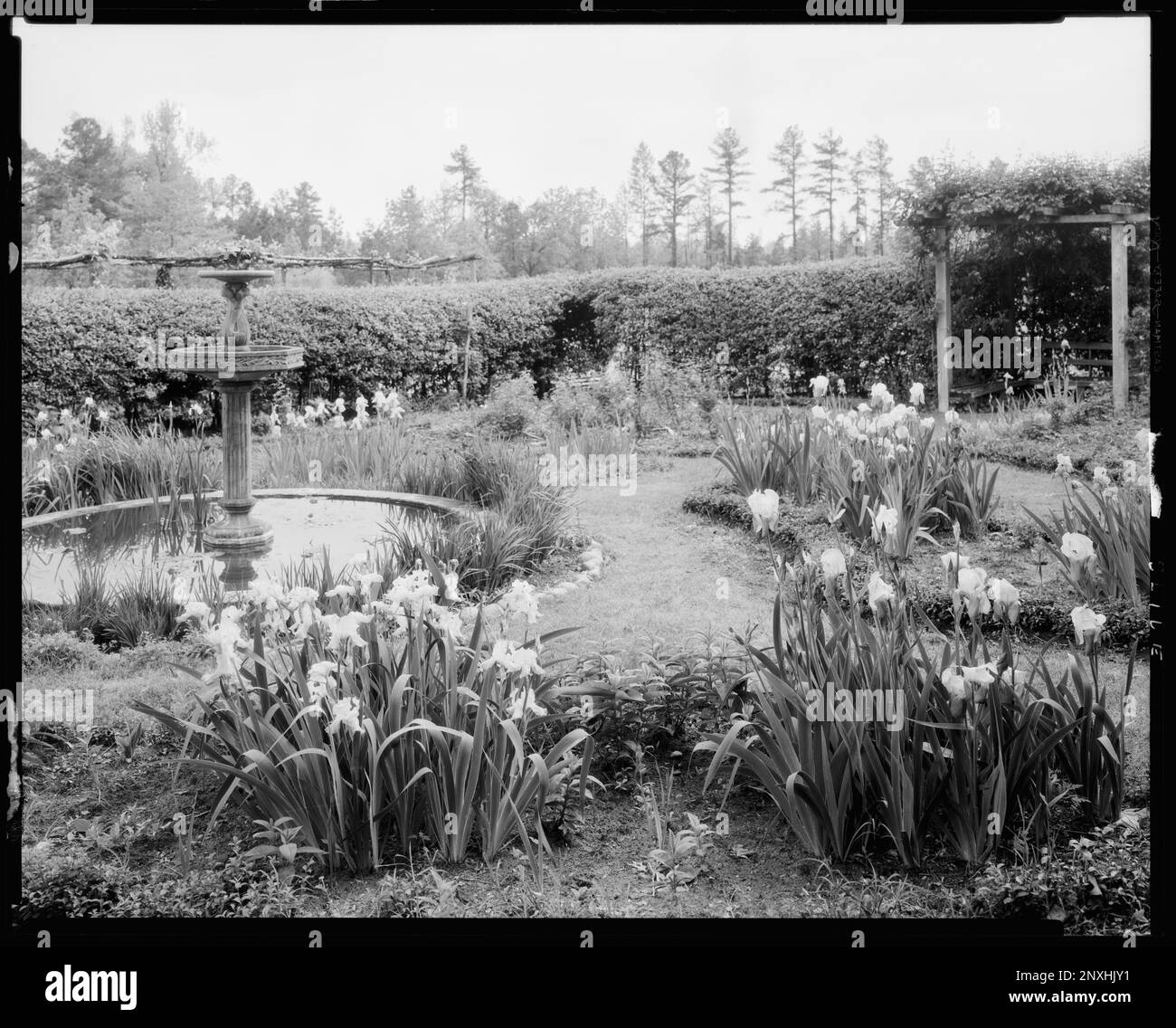 Buckhead Springs, Richmond vic., Henrico County, Virginia. Carnegie Survey of the Architecture of the South. United States  Virginia  Henrico County  Richmond vic, Lily ponds, Arbors , Bowers, Flowers, Gardens. Stock Photo