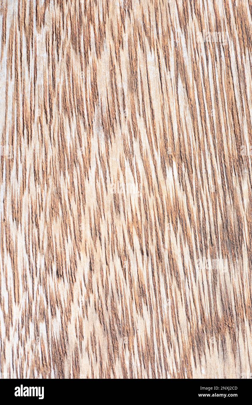 Vertical close-up of a natural wood background with the grain and reliefs. Ideal for graphic and lifestyle background Stock Photo