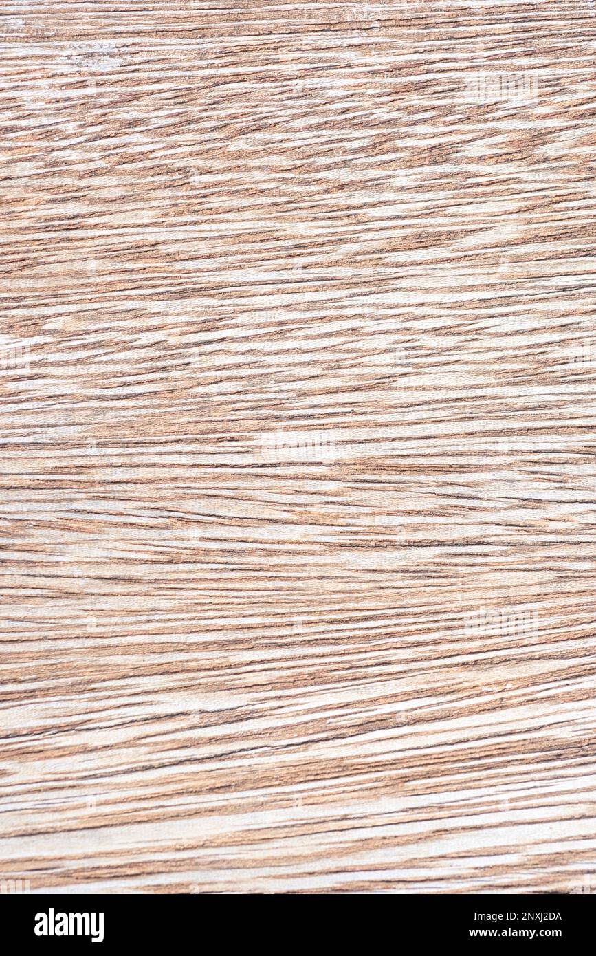 Natural wood texture a macro view, ideal for backgrounds and style life Stock Photo