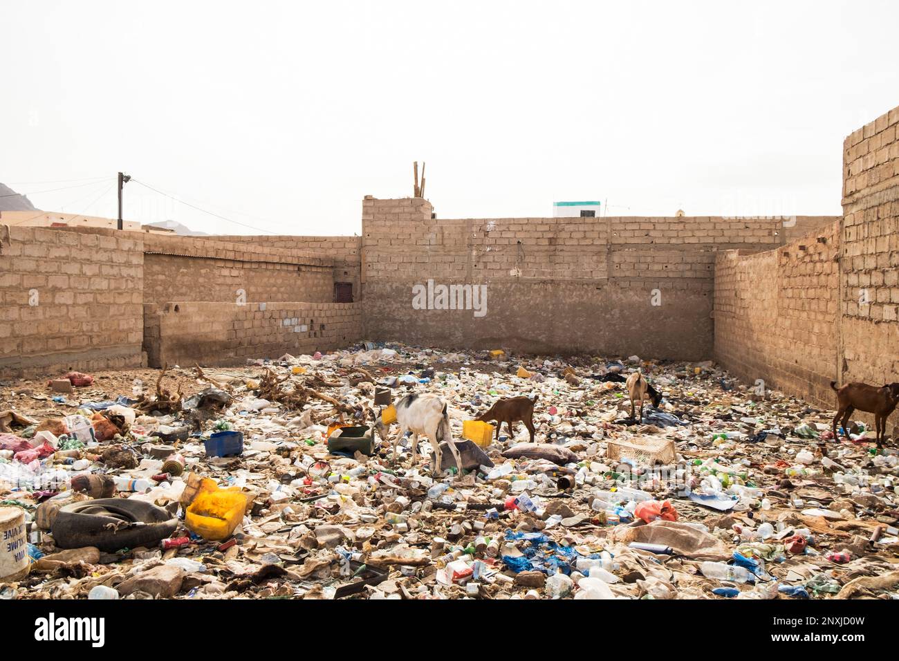 Mauritania, Zouerat, daily life Stock Photo Alamy