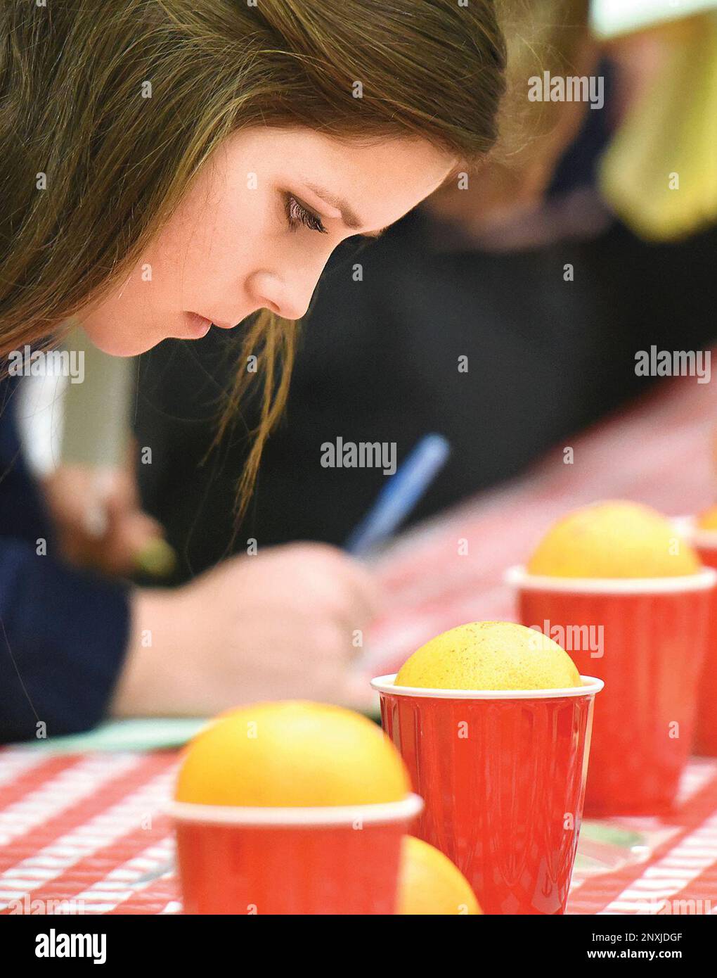 Porterville FFA McKenna Roger, 17, takes a closer look at oranges to