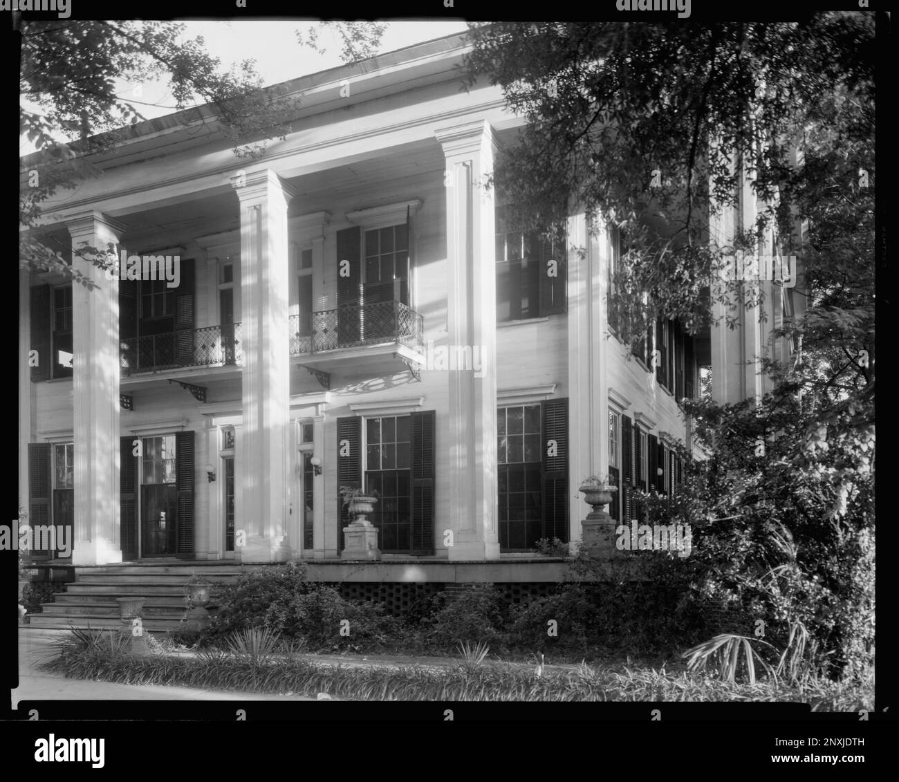 Jackson Whitehead House, Albany, Dougherty County, Carnegie