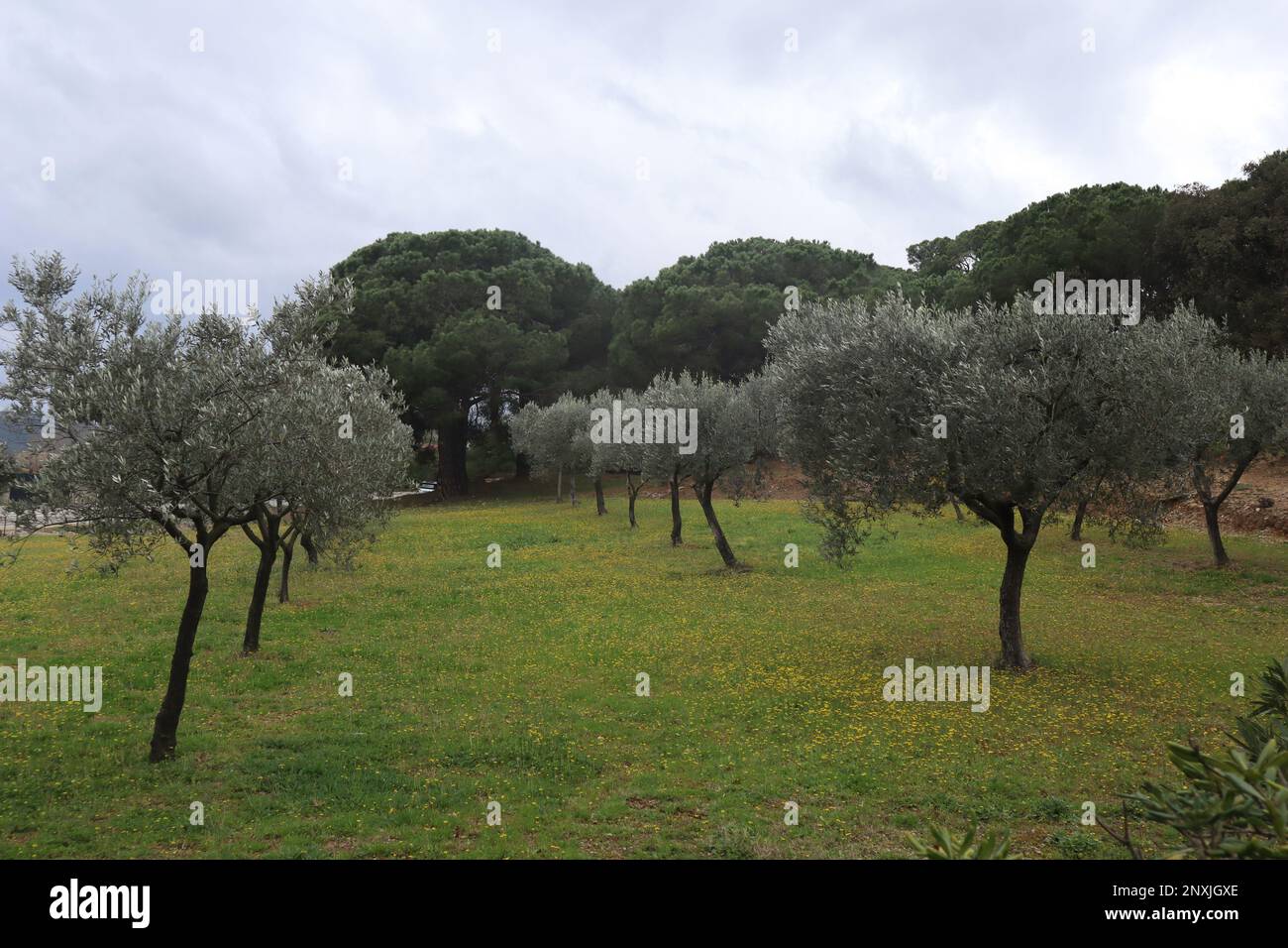 South of France in March Weather A Guide to Expecting Sunshine and Rain