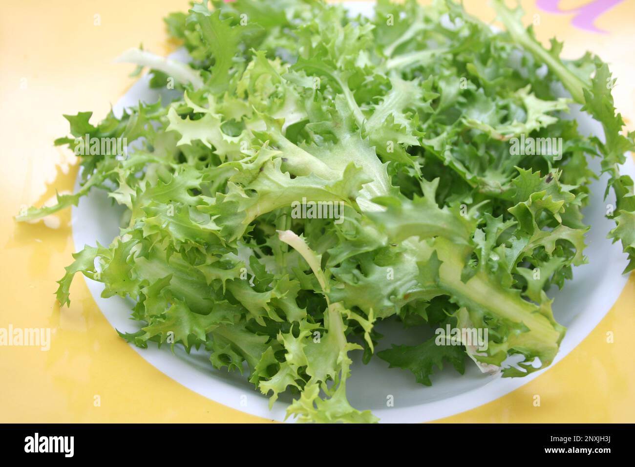 Leaf Salad Stock Photo