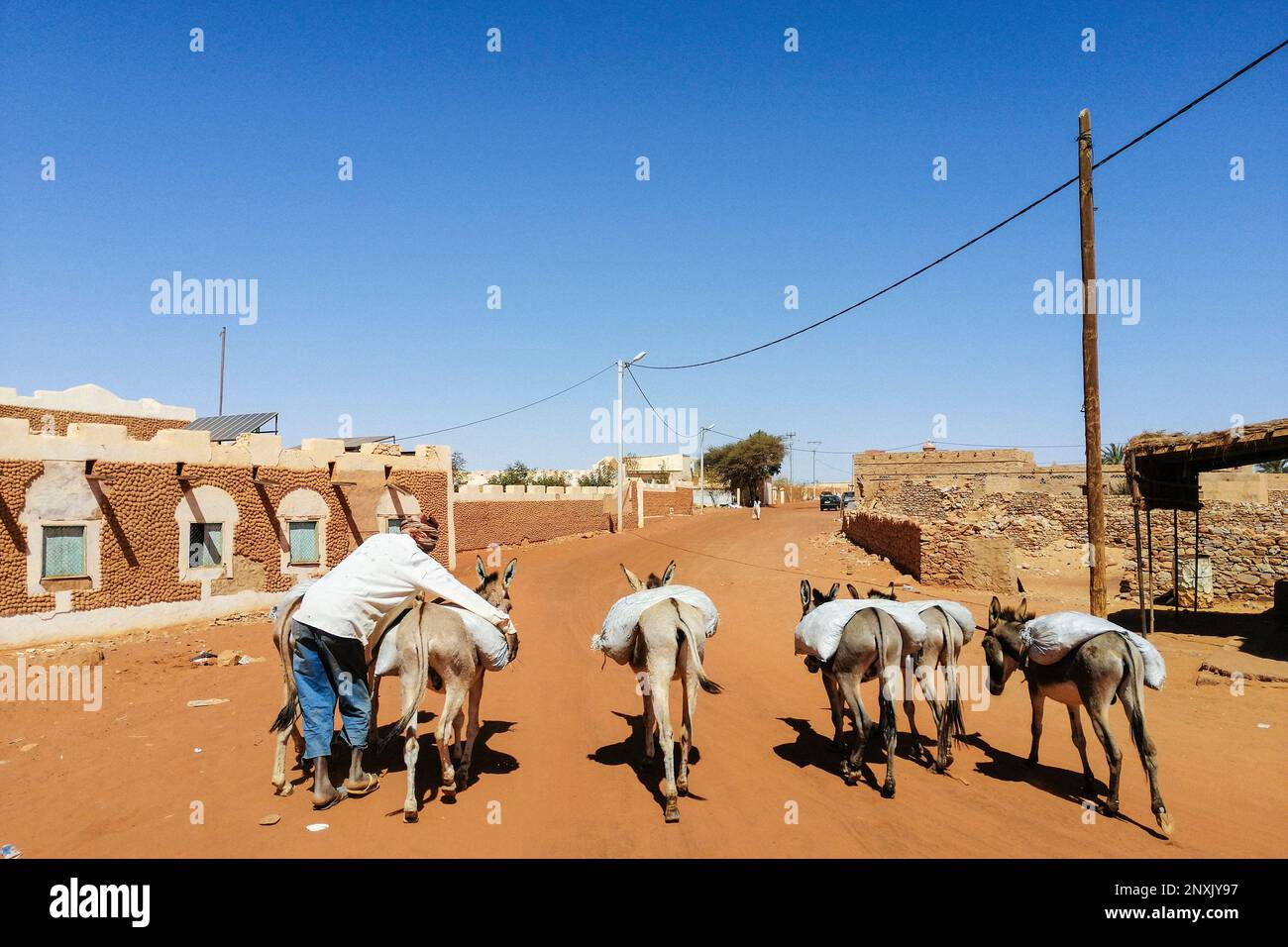 Mauritania, Chinguetti, donkeys in the city Stock Photo