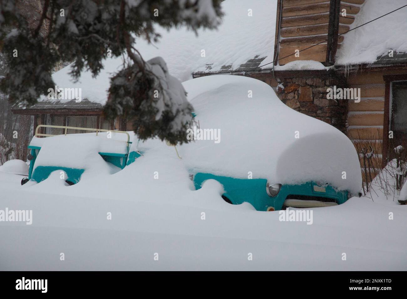 Big Bear City, California, USA. 1st Mar, 2023. Big Bear City received