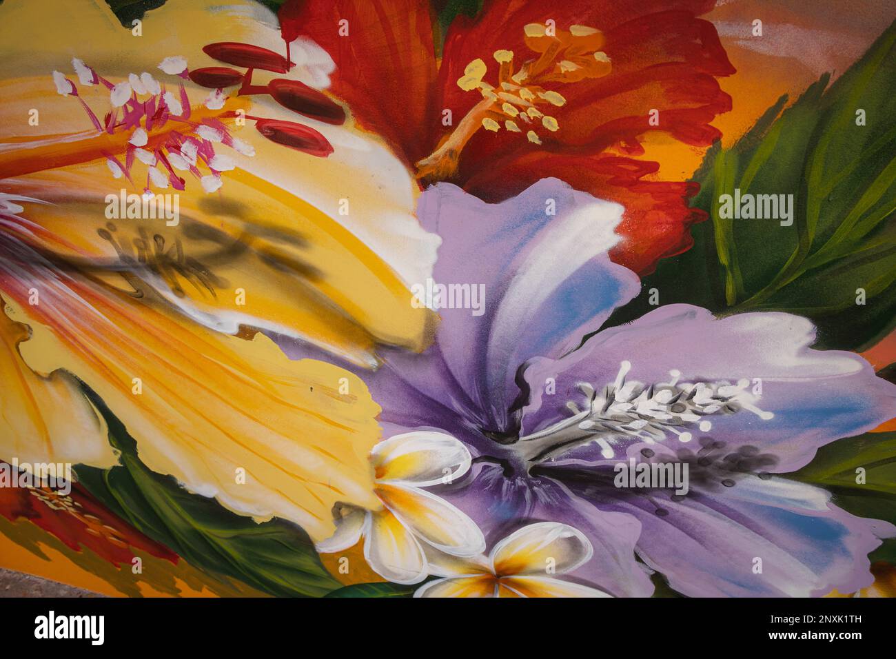 A hibiscus mural is displayed at street art locations on Guam, Jan. 18, 2023. Murals and street