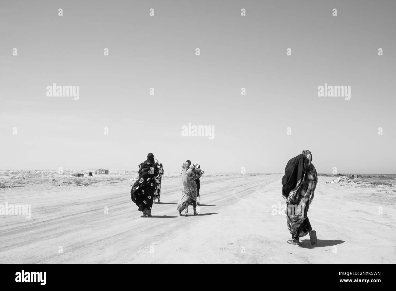 Mauritania wildlife Black and White Stock Photos & Images - Alamy