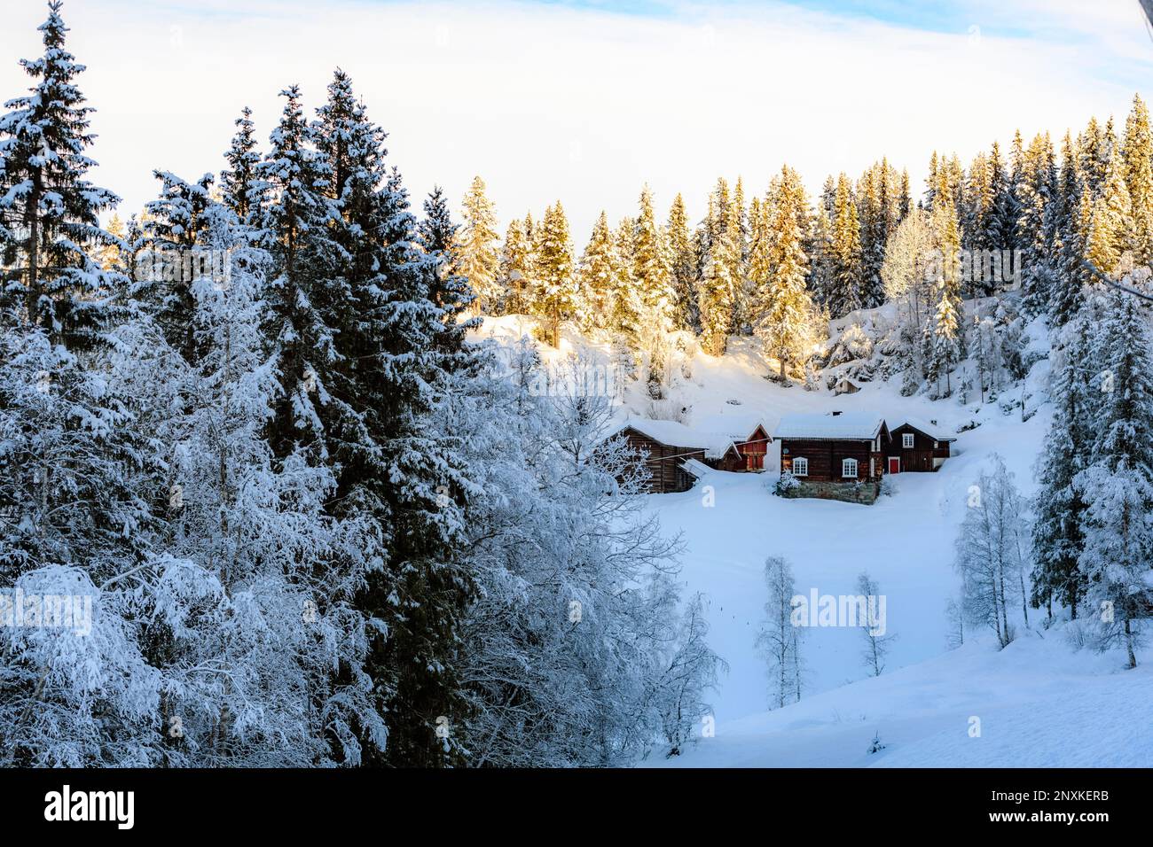 Winter landscape and old settlement at Mjaugedal (Vinje, Telemark and Vestfold) Norway. Stock Photo