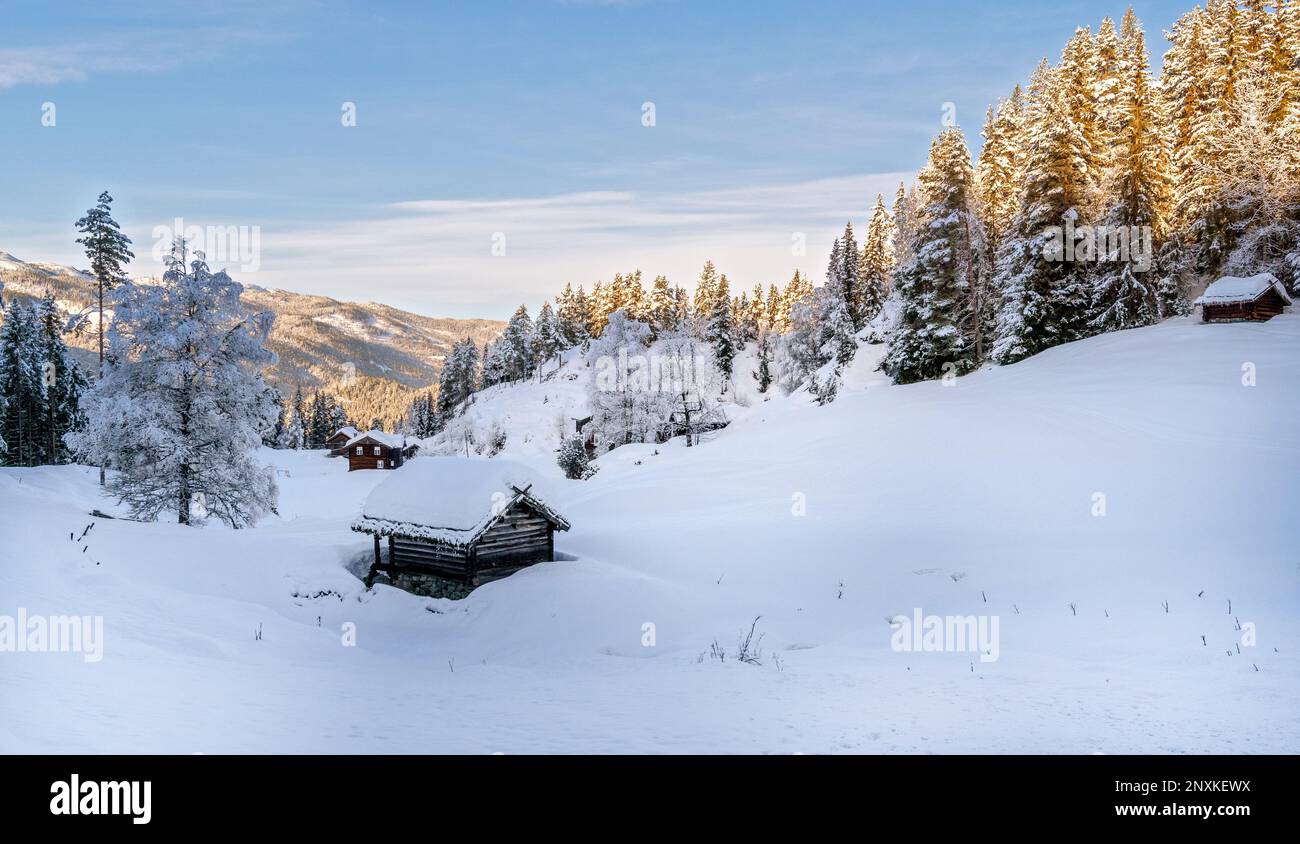 Winter landscape and old settlement at Mjaugedal Vinje, Telemark and Vestfold) Norway. Stock Photo