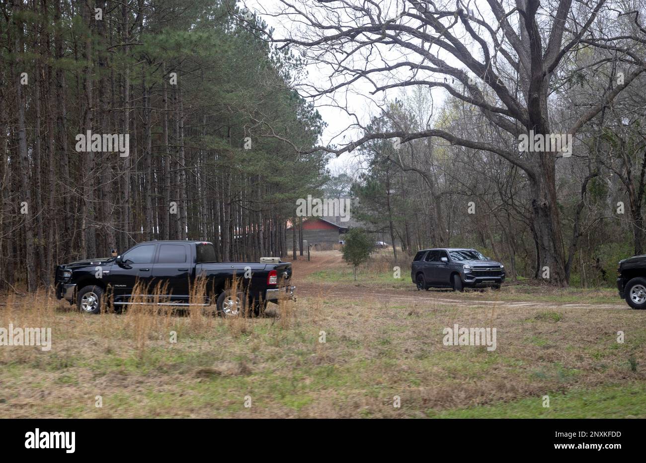 A view from Moselle Road of the kennels at the Murdaugh Moselle