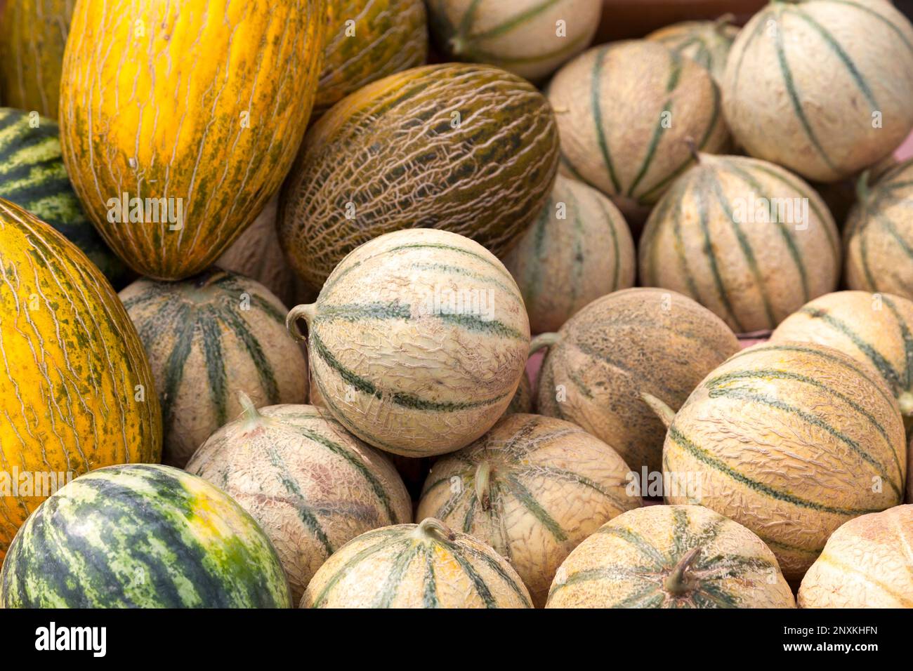 Full frame closeup on a stack of cantaloups, canary melons, green