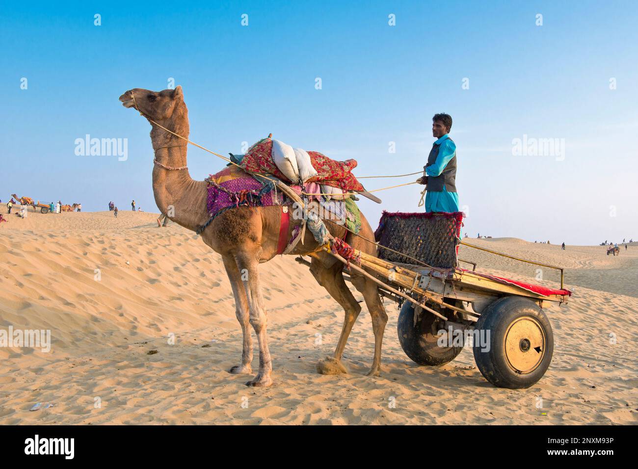 India, Rajasthan, Jaisalmer, camel ride desert Stock Photo - Alamy