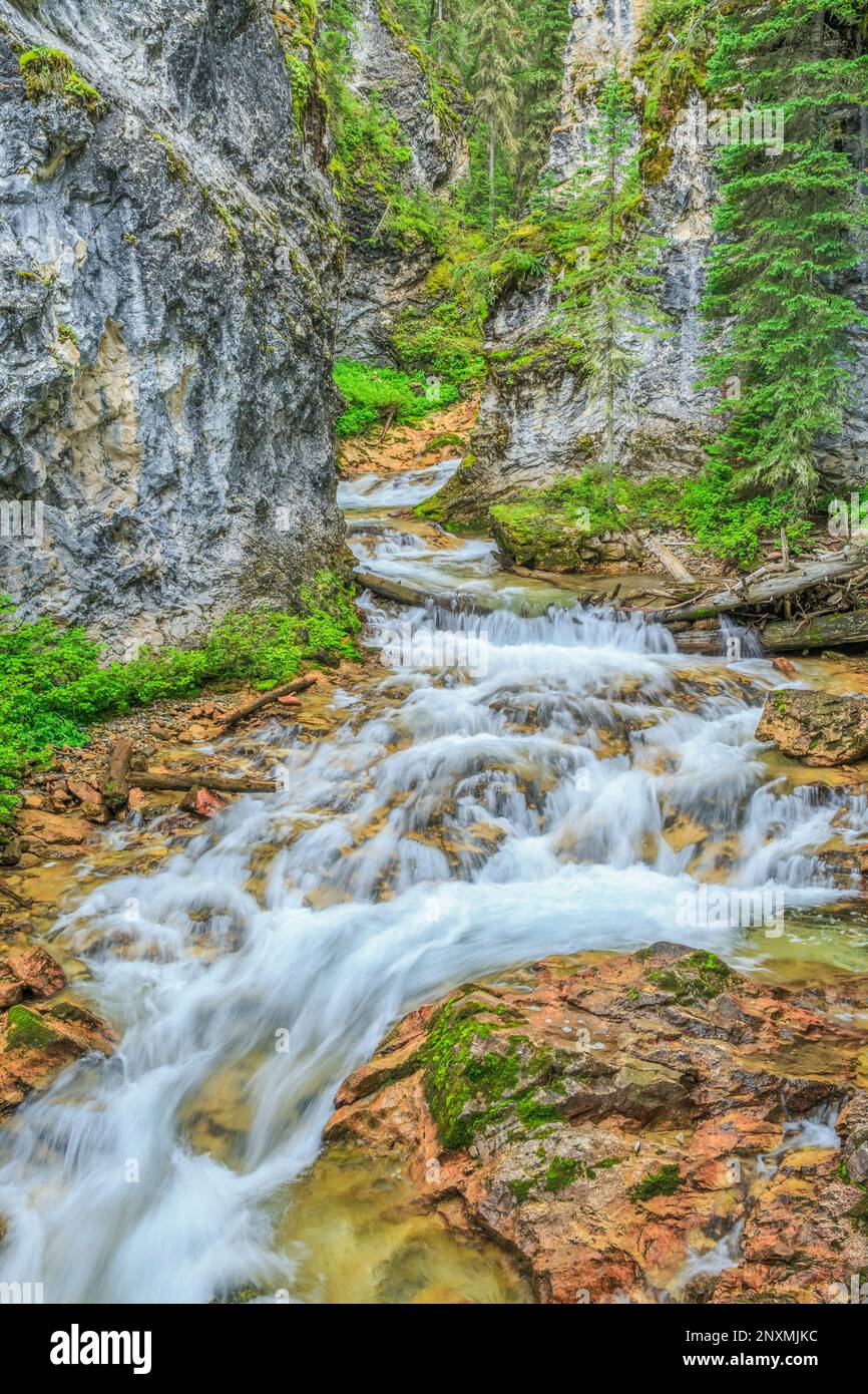 taylor creek in a canyon below taylor falls in the madison range south of big sky, montana Stock Photo