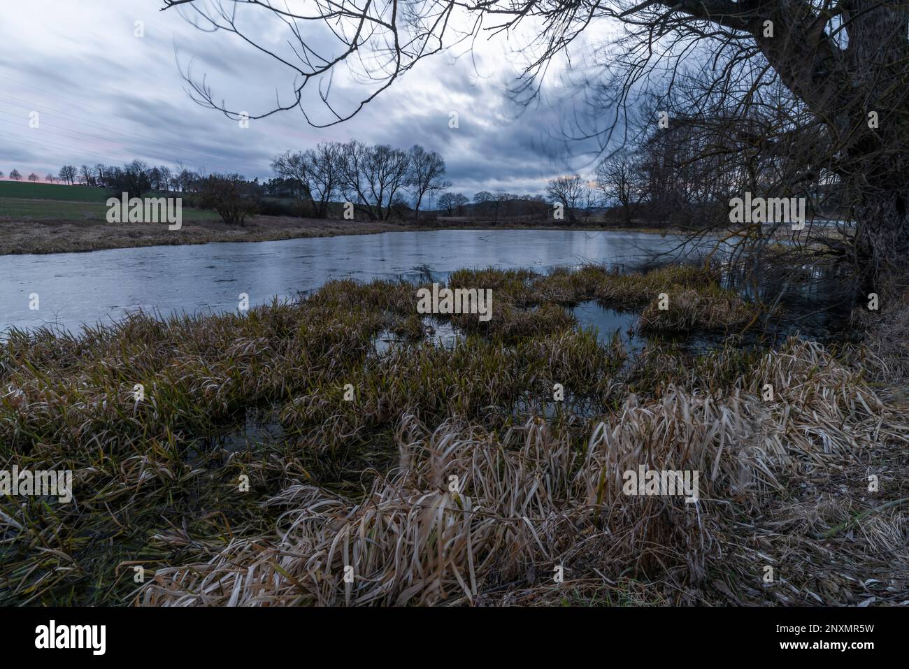 Dolni Sirotci pond near Oldrichov village in south Bohemia in winter fresh evening Stock Photo