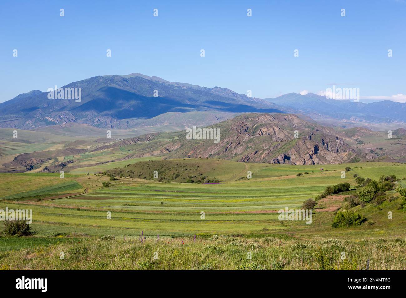 Green hills of Lesser Caucasus mountains in Samtskhe - Javakheti region in Georgia with agriculture fields and grasslands. Stock Photo