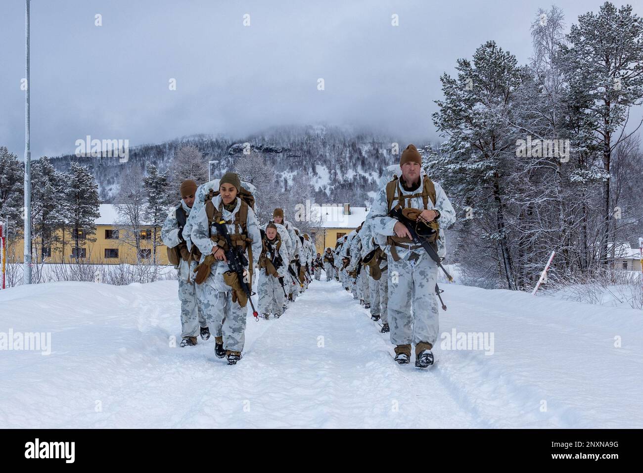 U.S. Marines with Combat Logistics Battalion 2, Combat Logistics Regiment 2, 2nd Marine Logistics Group, conduct a 5-kilometer hike during Marine Rotational Force- Europe 23.1 in Setermoen, Norway, Jan. 29, 2023. MRF-E 23.1 focuses on regional engagements throughout Europe by conducting various exercises, mountain-warfare training, and military-to-military engagements, which enhances the overall interoperability of the U.S. Marine Corps with allies and partners. Stock Photo