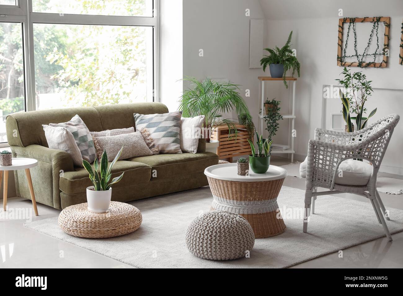 Interior of cozy living room with green sofa, armchair and houseplants ...