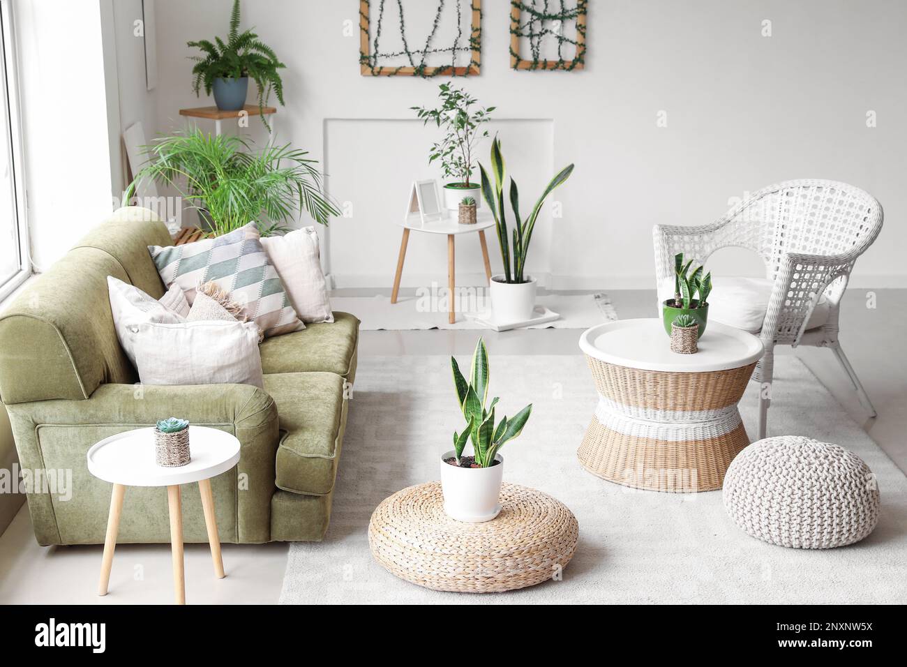 Interior of cozy living room with green sofa, armchair and houseplants ...