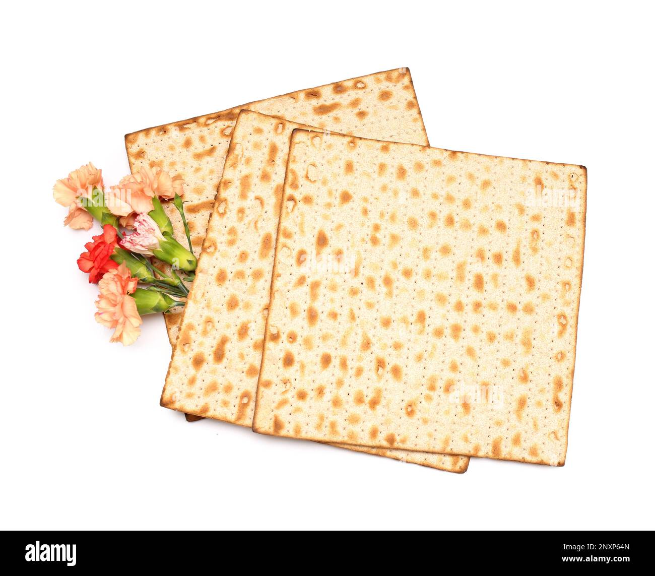 Jewish flatbread matza for Passover and beautiful carnation flowers on