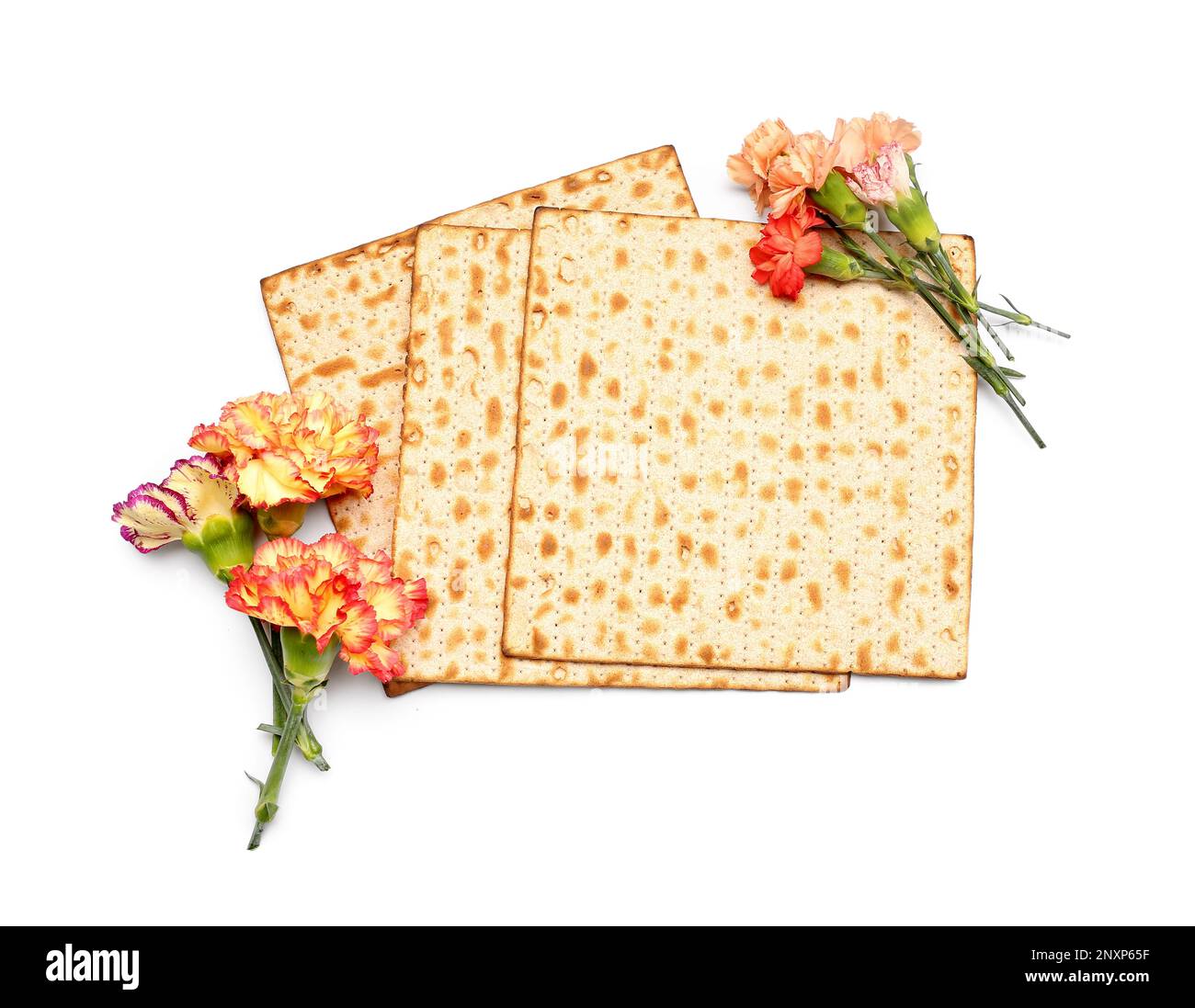 Jewish flatbread matza for Passover and beautiful carnation flowers on