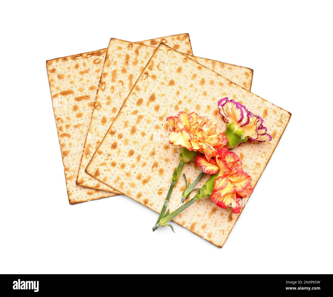 Jewish flatbread matza for Passover and beautiful carnation flowers on white background Stock