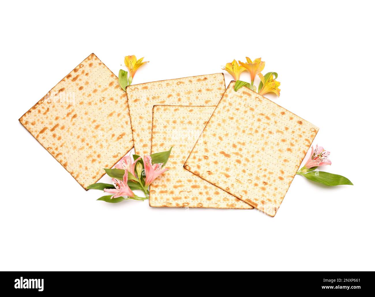 Jewish flatbread matza for Passover and beautiful alstroemeria flowers on white background Stock