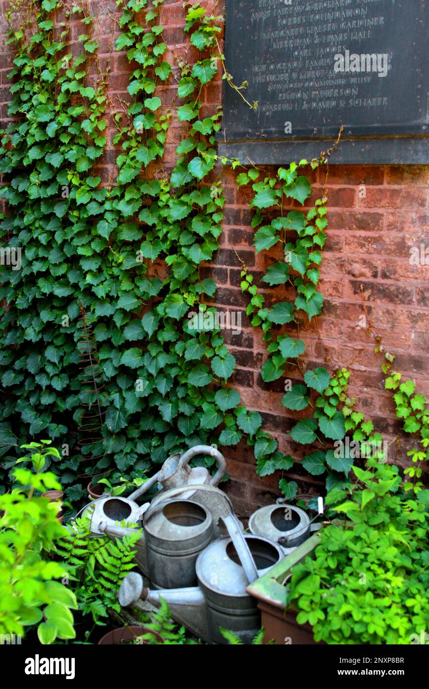 tea-pots and vines Stock Photo