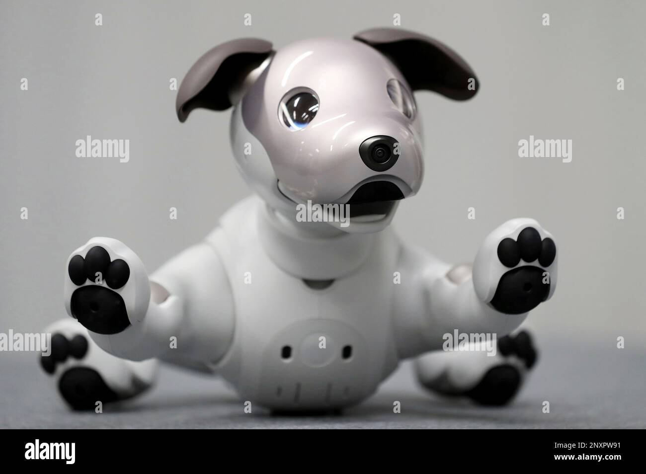 Sony Corp.'s new doglike aibo moves during a special event at Sony's