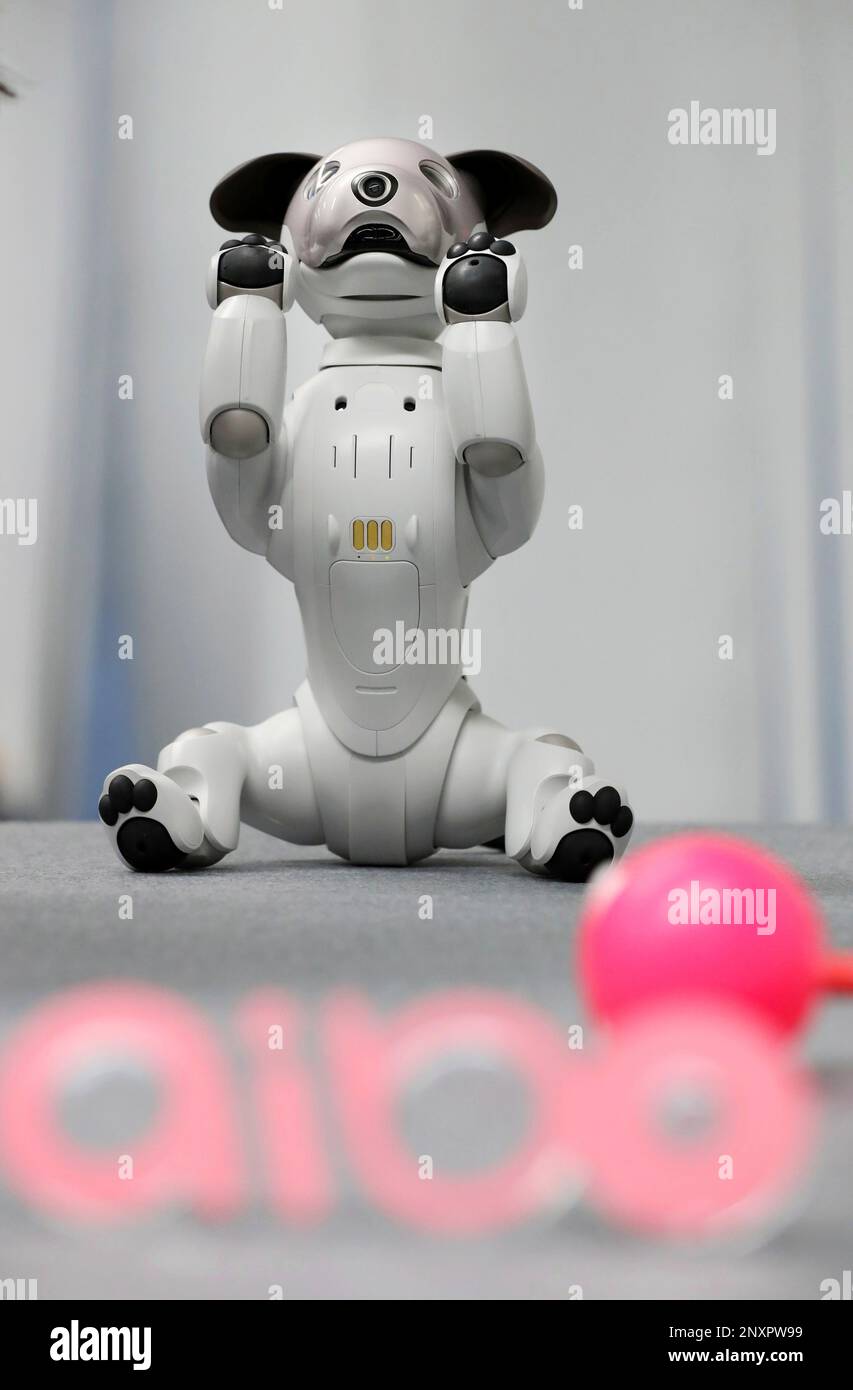 New robots 2018 2025