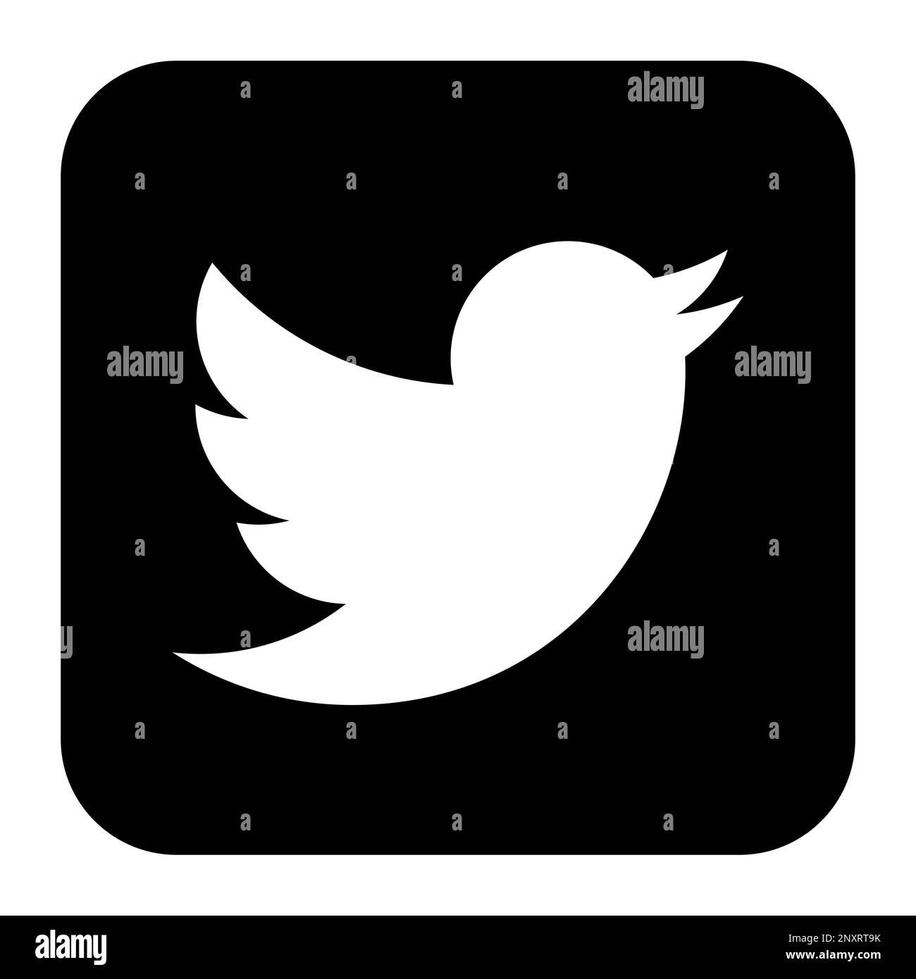 Twitter social media app icon. Square with rounded corners vector ...