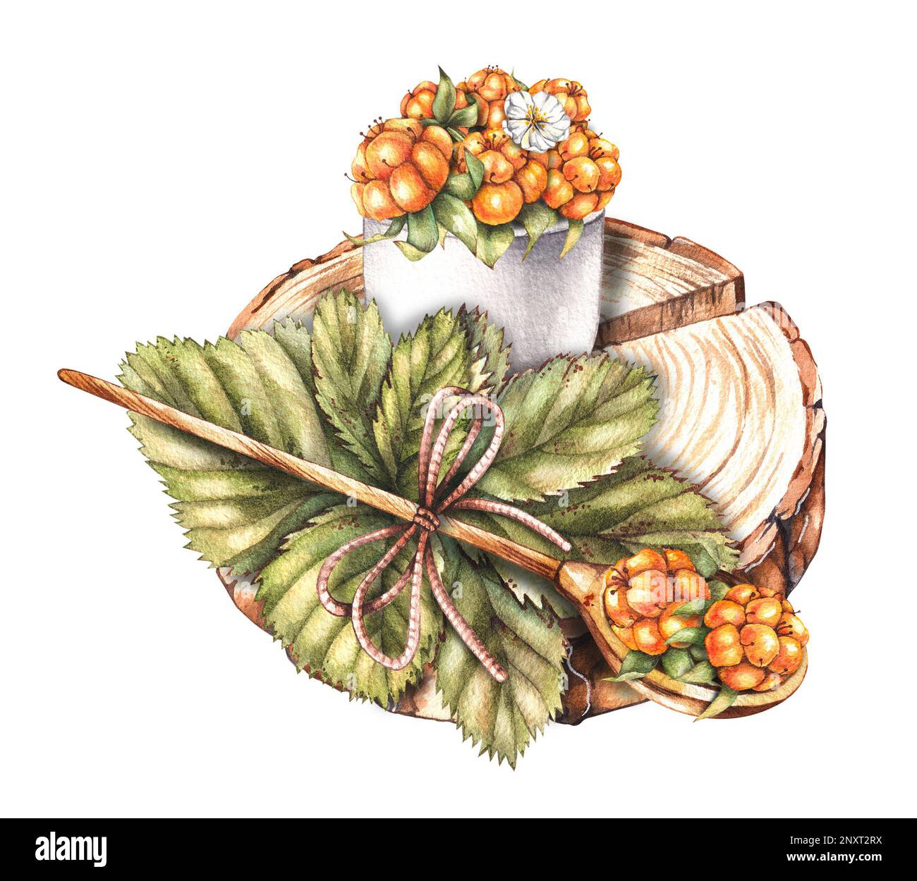 Watercolor composition with cloudberries on a spoon with a rope bow, in ...