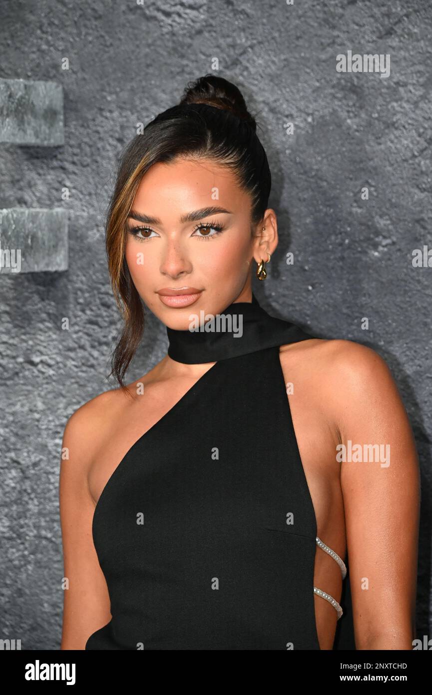 London, UK. 01st Mar, 2023. Arrives at the Luther: The Fallen Sun - Global Premier at BFI IMAX London, UK. Photo date on the 1st March 2023. Credit: See Li/Picture Capital/Alamy Live News Credit: See Li/Picture Capital/Alamy Live News Stock Photo