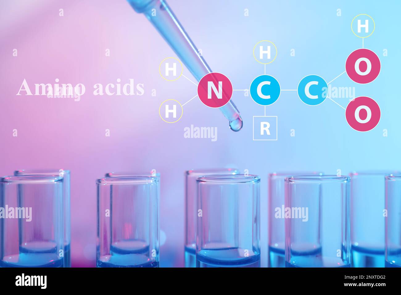 Amino Acids chemical formula, illustration. Dripping reagent into test