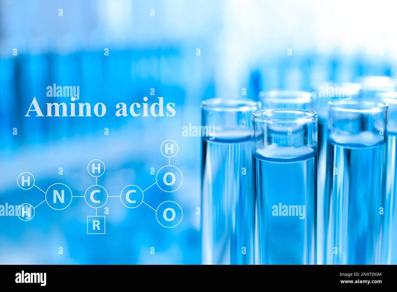 Amino Acids chemical formula, illustration. Test tubes with liquid