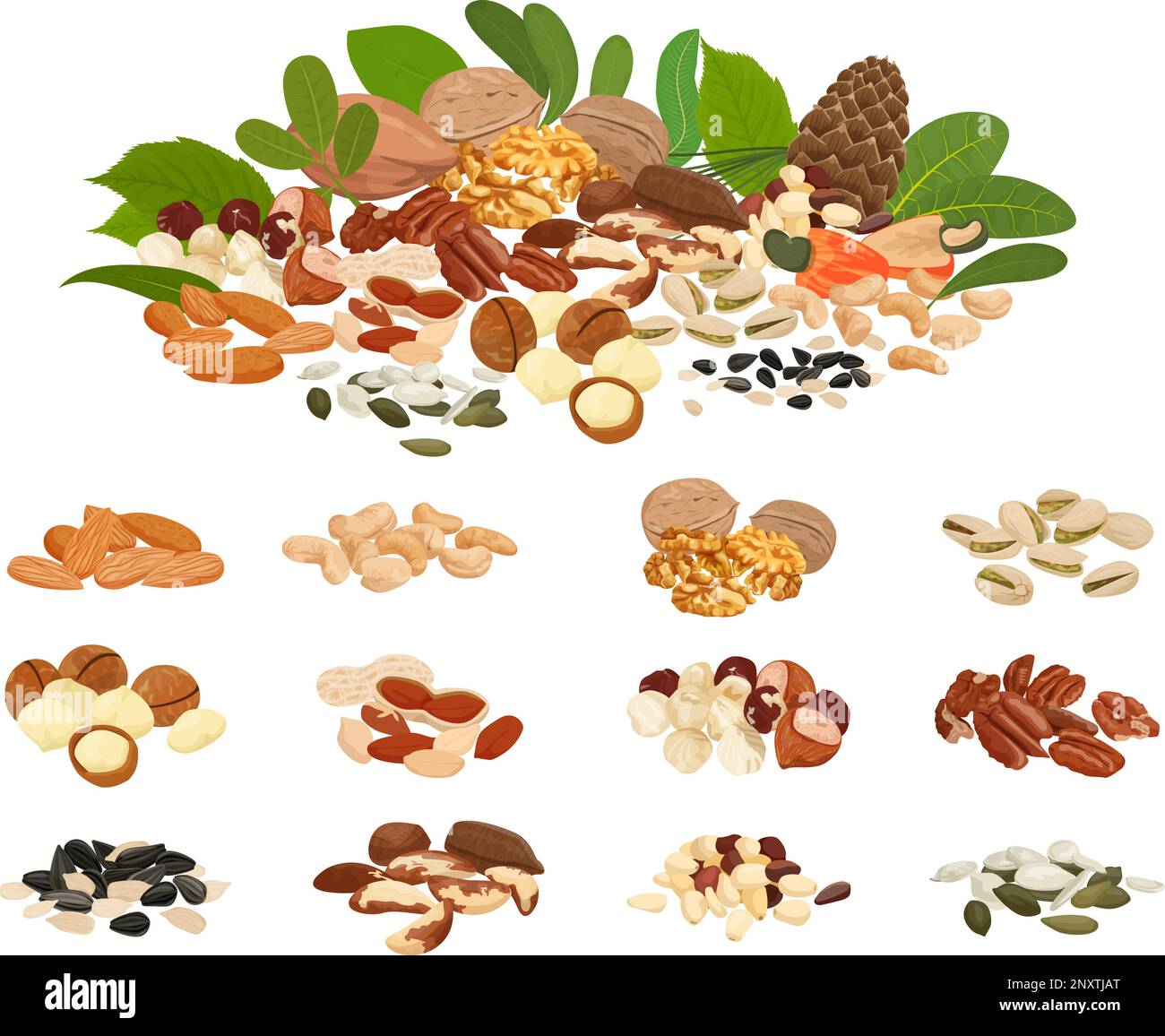 Nuts and seeds flat set with isolated images of bean piles and big