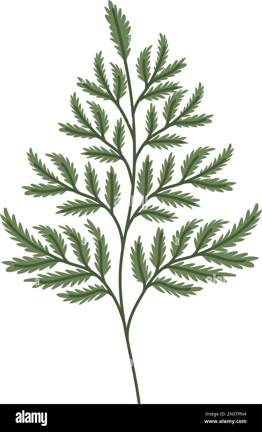 green leaves illustration Stock Vector Image & Art - Alamy