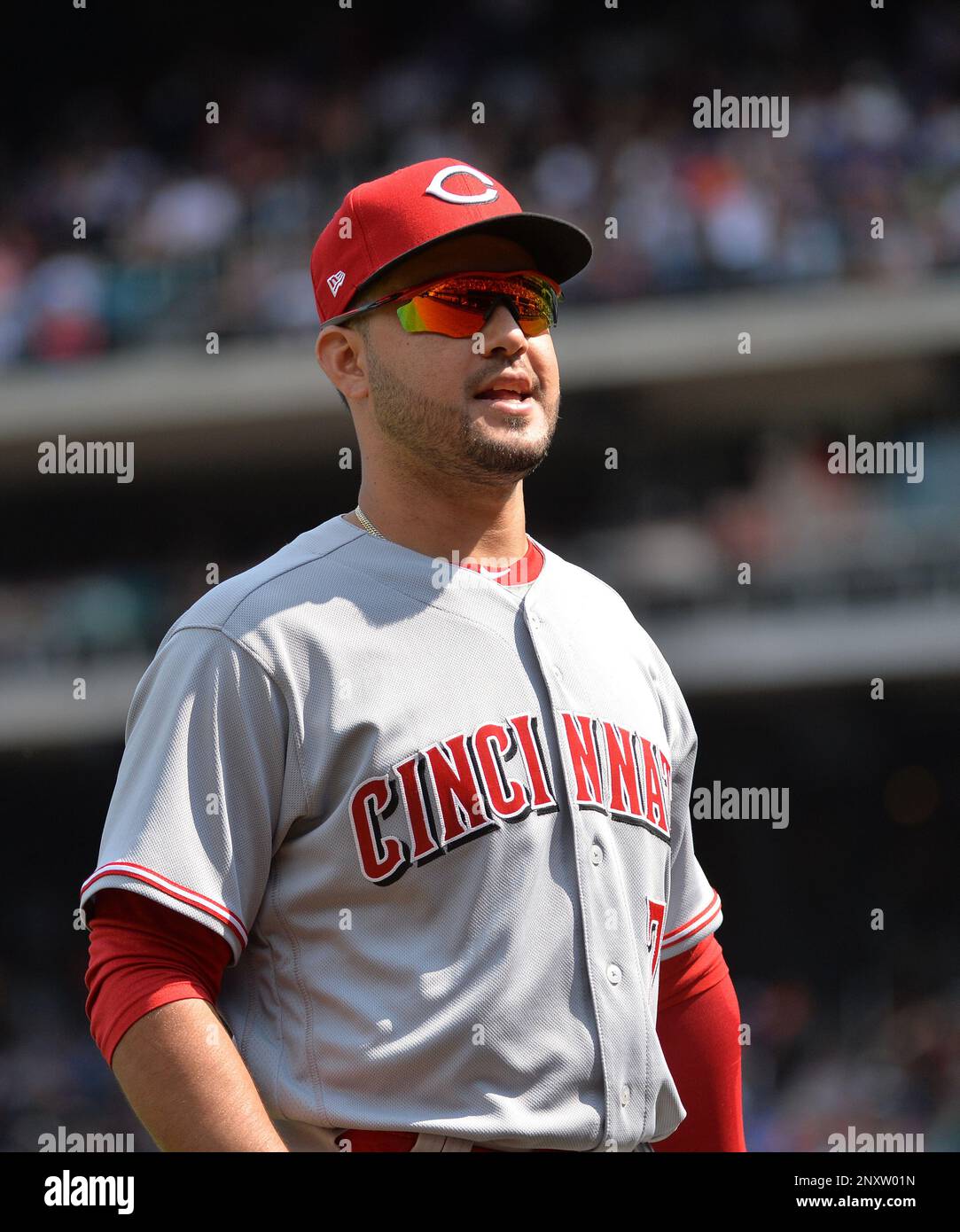 Cincinnati Reds infielder Eugenio Suarez (7) during game against the New  York Mets at Citi Field in Queens, New York, September 10, 2017. Reds  defeated Mets 10-5. (Tomasso DeRosa via AP Stock Photo - Alamy