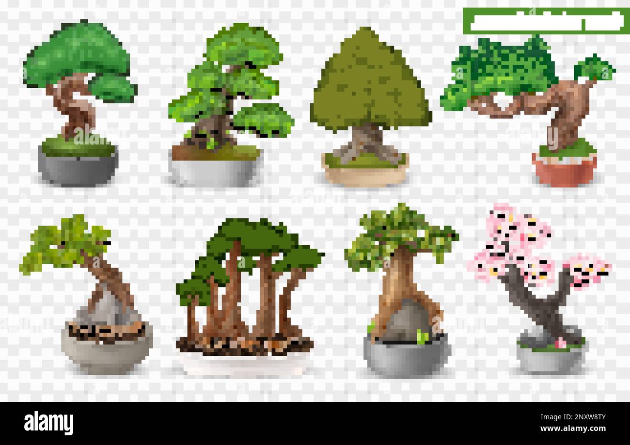Realistic japanese bonsai tree icons set on transparent background