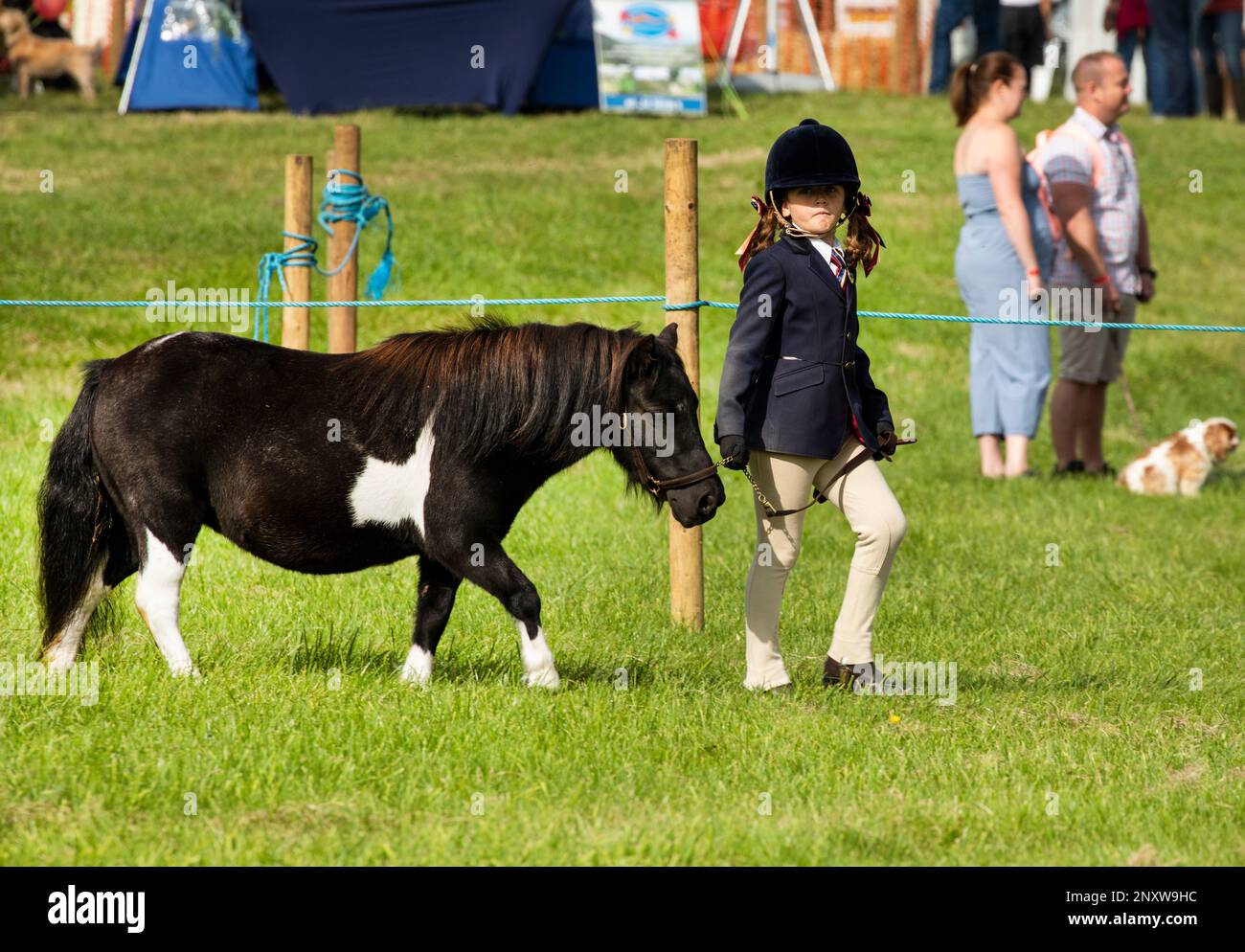 Little girls parading with their ponies at Weardale Show, St John's