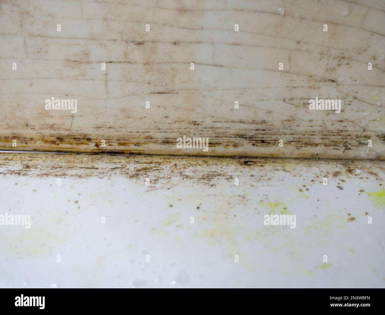 Plumbing. Mold in the bathroom. Black dots of mold and yellow plaque