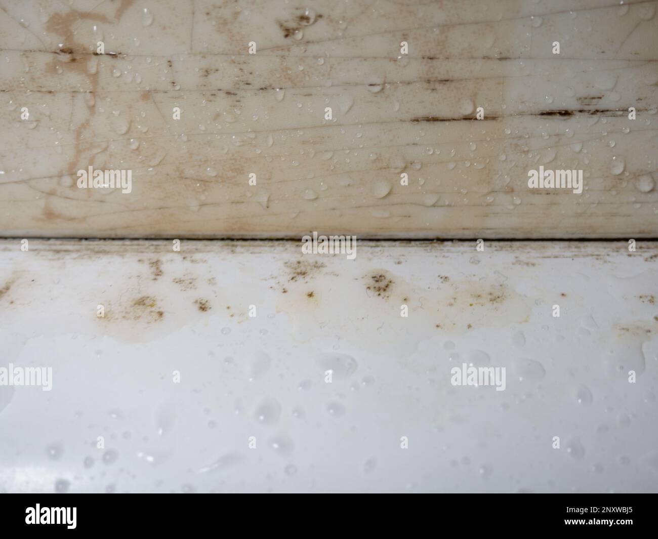 Plumbing. Mold in the bathroom. Black dots of mold and yellow plaque. Black mold Dirt on tiles