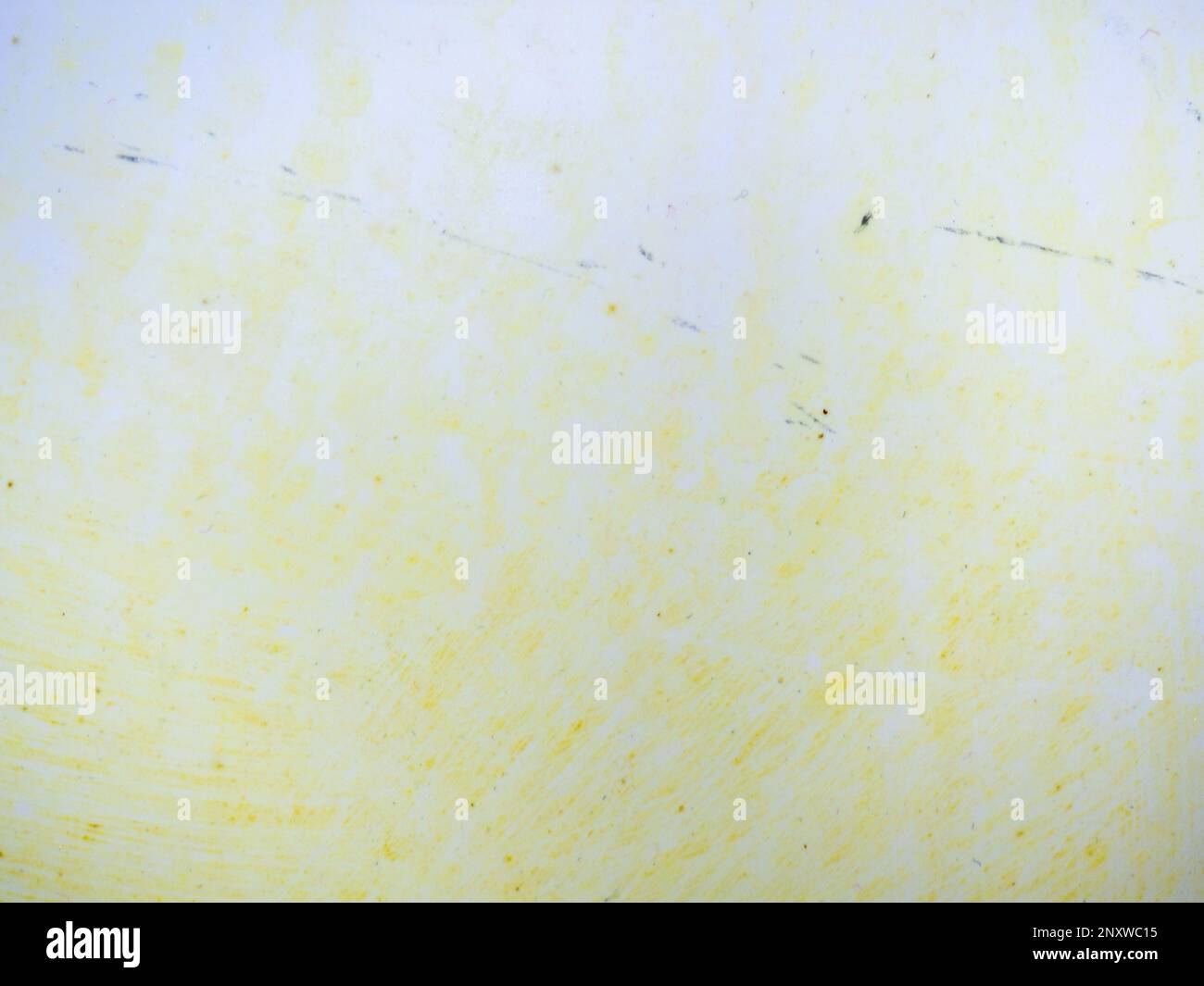 Mold on bathroom enamel. Black dots of mold and yellow plaque. Requires ...