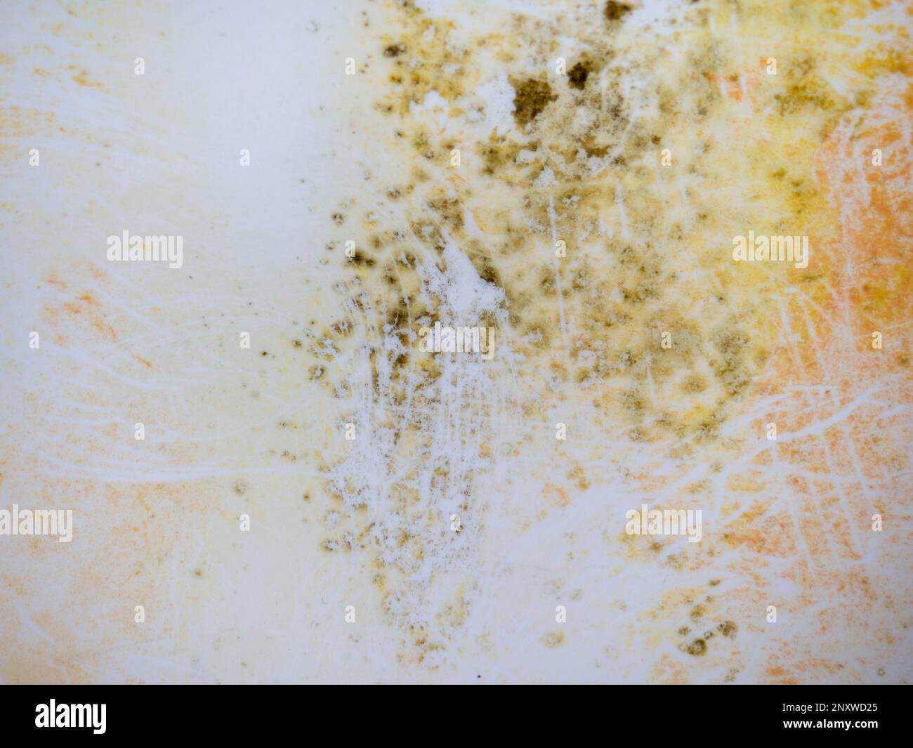 Mold on bathroom enamel. Black dots of mold and yellow plaque. Requires ...