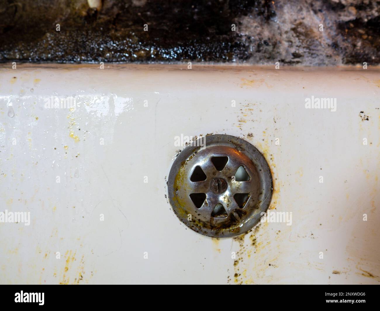 Bathroom drain dirty. Siphon element. Plumbing. Mold on bathroom enamel. Black dots of mold and ...