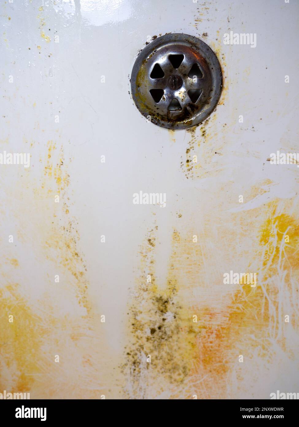Mold on bathroom enamel. Black dots of mold and yellow plaque. Requires ...