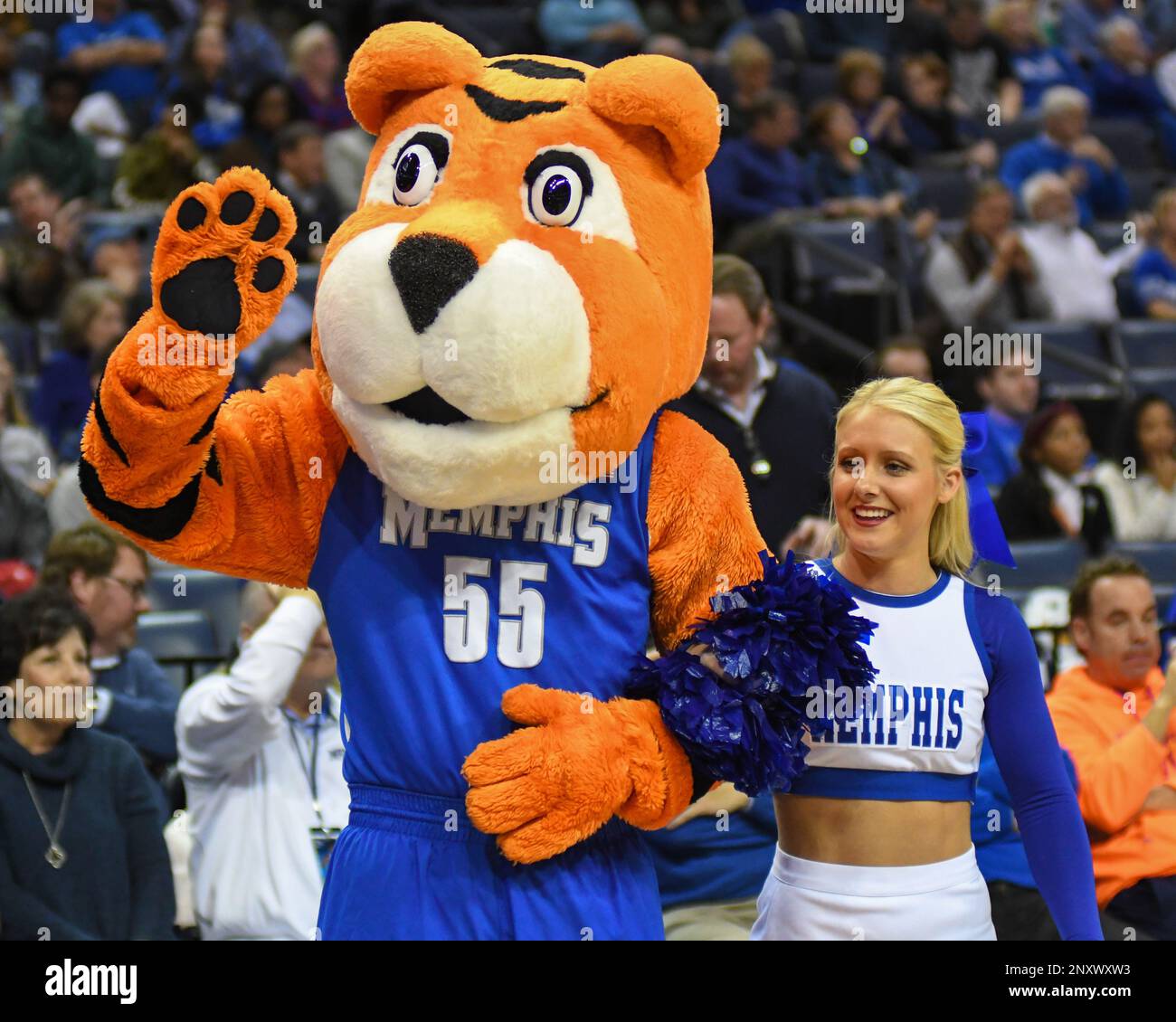 December 12, 2017; Memphis, TN, USA; The Memphis Tigers mascot, POUNCER,  and a Tigers cheerleader performing during an NCAA D1 basketball game. The  Memphis Tigers defeated the Albany Great Danes, 67-58, at