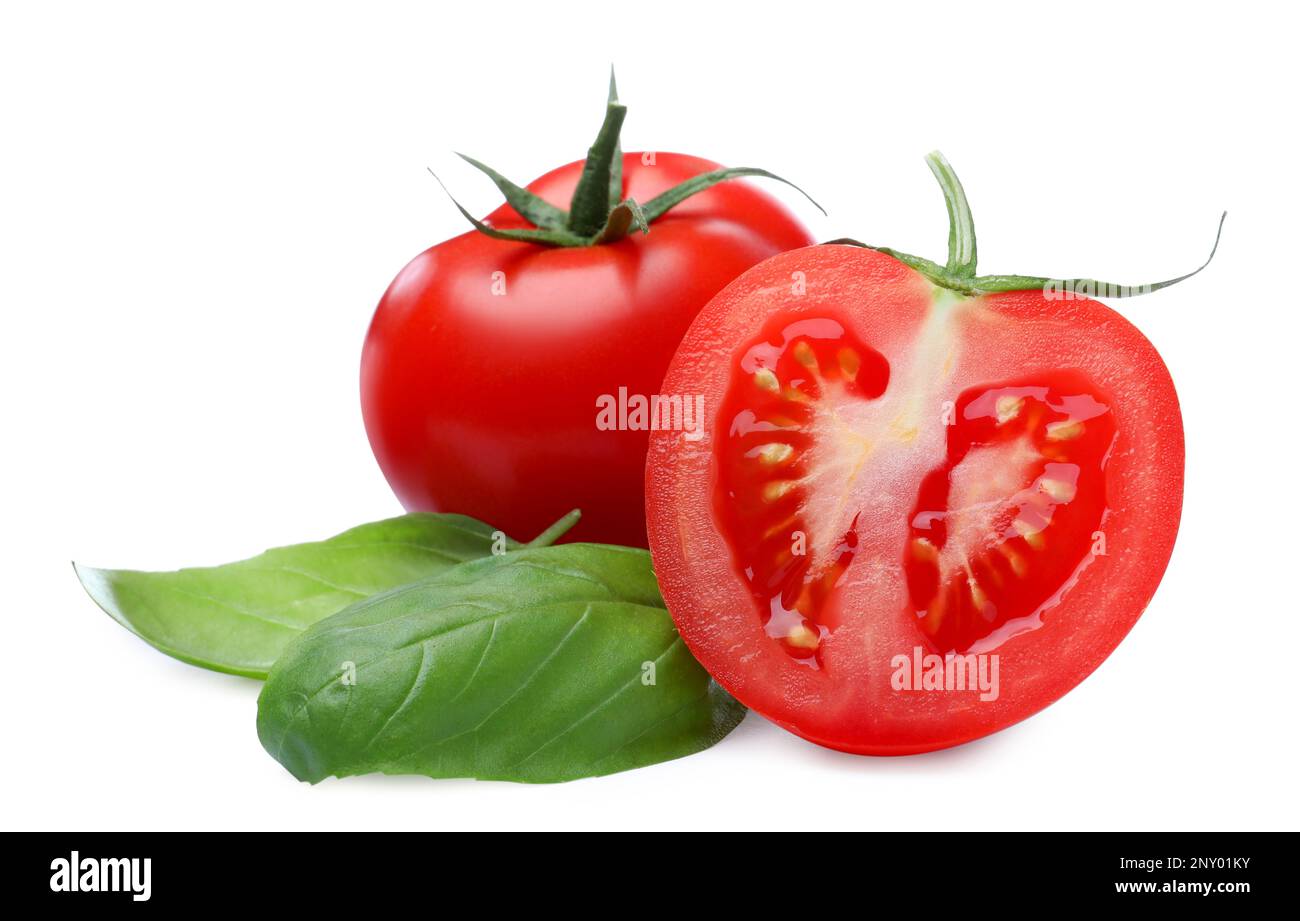 Fresh green basil leaves with cut and whole tomatoes on white ...