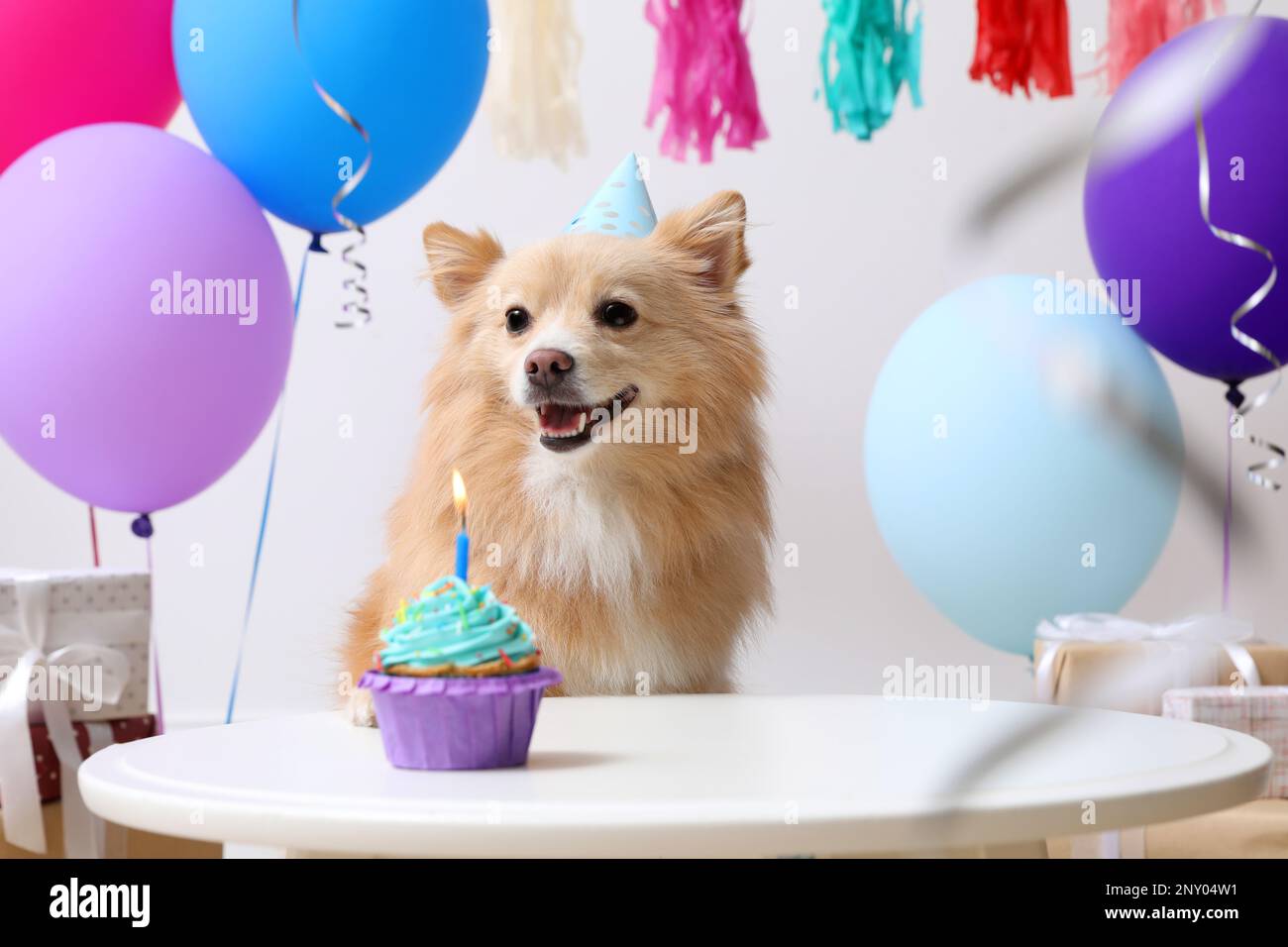 Cute dog wearing party hat at table with delicious birthday cupcake in ...