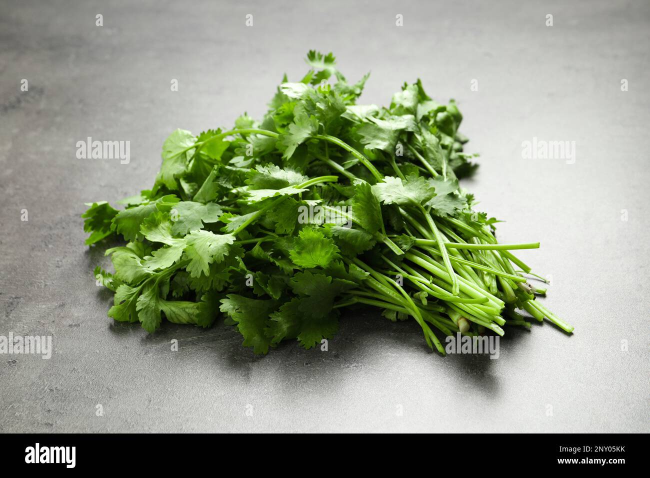 Bunch of fresh green cilantro on grey table Stock Photo